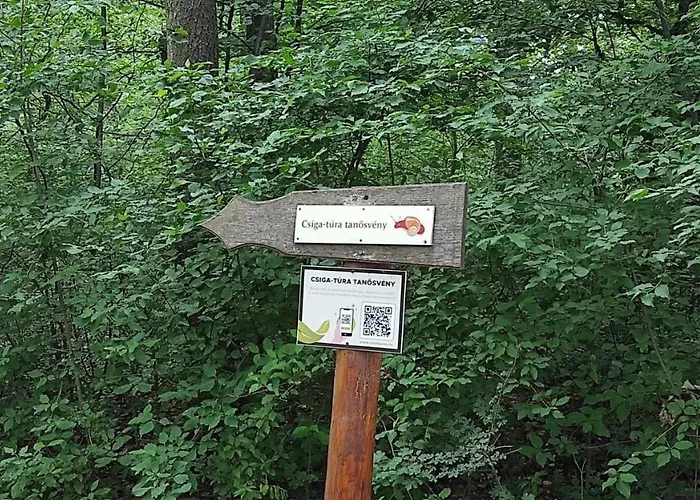 Silence Apartmanhaz * זלקרוס